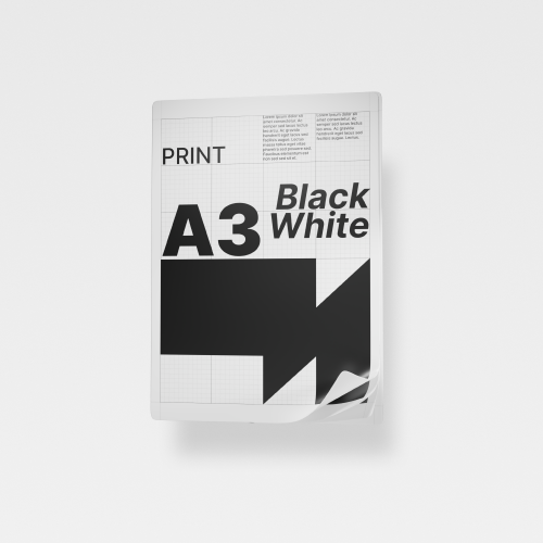 Print A3+ Black White