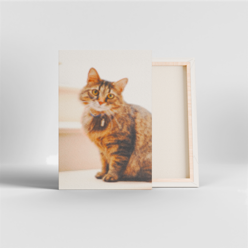 Foto Spanram Canvas
