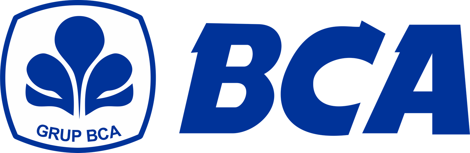 BCA